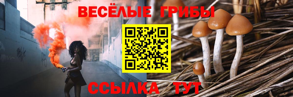 Псилоцибиновые грибы Magic Shrooms  Вход с VPN  Галлюциногенные грибы прущие грибы  Зерноград 